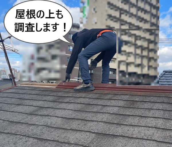 屋根の上も調査を行います　棟板金が落下した